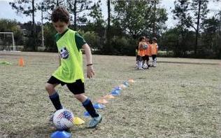 Developmental Academy training